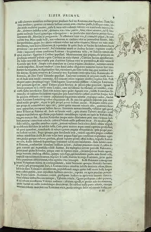 Sabines: Romans fight the Sabines
