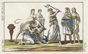Wields: Romans Sacrifice Bull