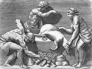 Butchery: ROMANS SLAUGHTER A PIG