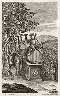 Wines: ROMANS TENDING WINES