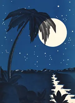 Starry: Romantic Tropical Night