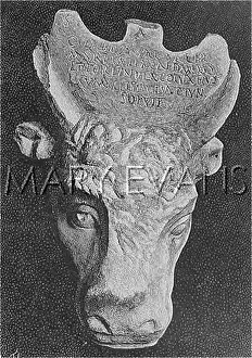 Kronos: ROME, BULL'S HEAD