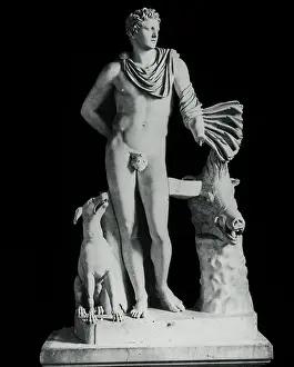 Boars: Rome, Italy - The Meleager, Vatican