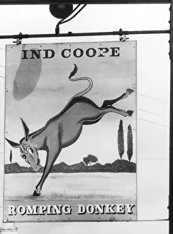 Romping: THE ROMPING DONKEY