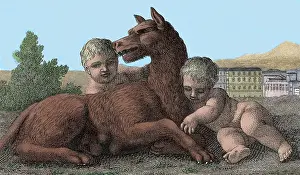 Remus: Romulus and Remus