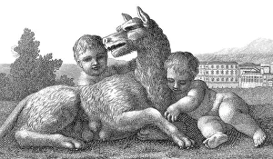 Remus: Romulus and Remus, Founders of Rome
