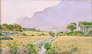 Sachm: Rondebosch Common