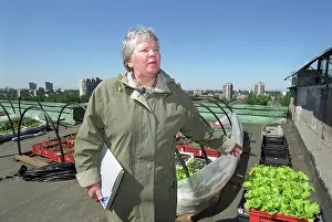 Alls: Roof Kitchen Garden program, 2002