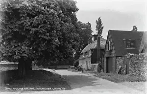 Thatched: Rookery Cottage