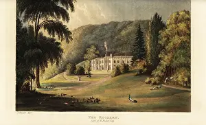 Rookery: The Rookery, Westcott, Surrey