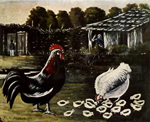 Hens: Rooster and Brooder with Chicks