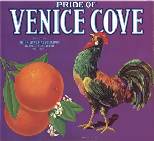 Crowing: Rooster Fruit Label