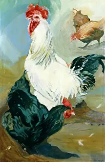 Iona: Rooster and Hens