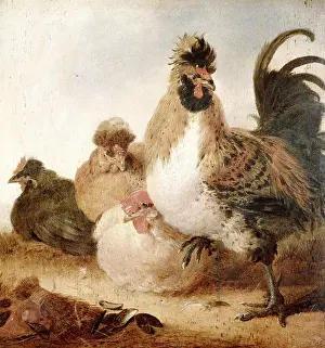 Jacobsz: Rooster and Hens, by Cuyp