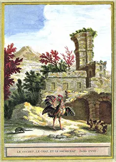 Rooster: Rooster, Rat and a Cat