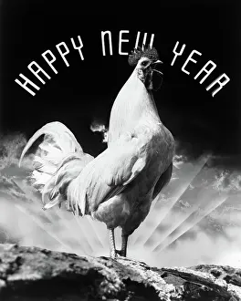 Spelled: Rooster standing on hill crowing with rays of