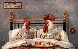 Roosters: Roosters having Breakfast in Bed