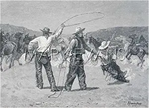 Roping: ROPING IN CORRAL