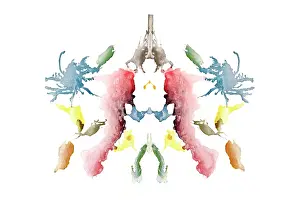 Psychological: Rorschach Test Card No. 10
