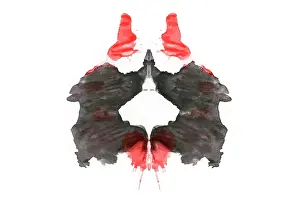Psychological: Rorschach Test Card No. 2