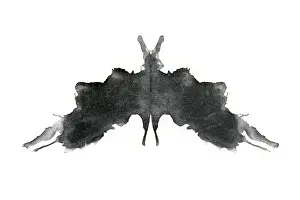 Psychological: Rorschach Test Card No. 5