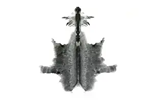 Psychological: Rorschach Test Card No. 6