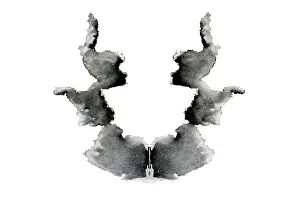 Psychological: Rorschach Test Card No. 7