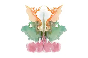 Psychological: Rorschach Test Card No. 9