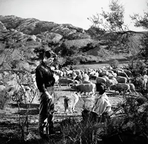 Calhoun: Rory Calhoun - Jean Simmons