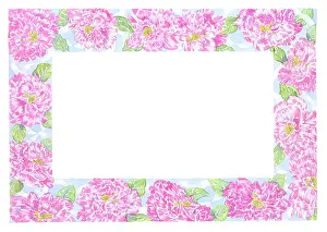 Rosa Mundi border design