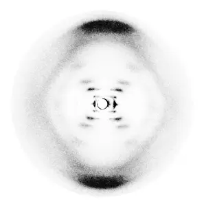 Biophysics: Rosalind Franklin's B-Form of DNA, 1952