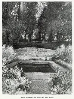 Clifford: Rosamond?s Well, Blenheim Park, Woodstock, Oxfordshire