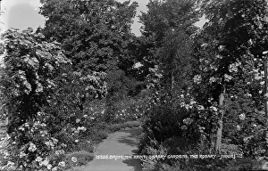 Pathway: The Rosary in Library Gardens