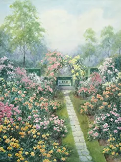 Halford: The Rose Arch ' path and garden seat