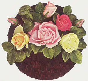 Refreshment: Rose Basket Cake