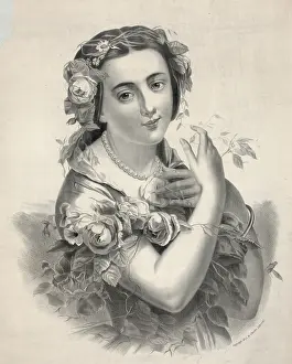 C1875: The rose of beauty