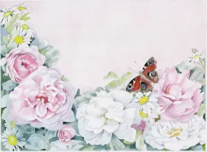 Langlands: Rose Border with Peacock Butterfly