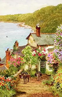 Clovelly: Rose Cottage, Clovelly, Devon