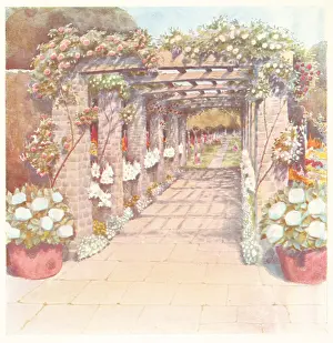 Pergola: Rose Court Pergola