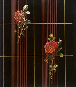 Intersecting: Rose Design
