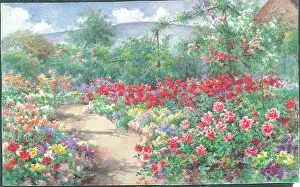 Pressland: In the Rose Garden'. Garden with path and flower borders