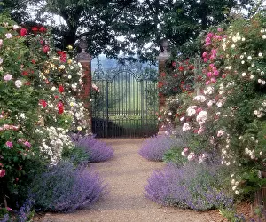 Postern: Rose Garden and Gate