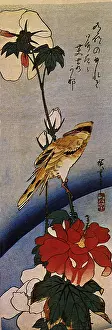 Hiroshige: Rose Mallow and Bird