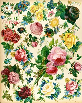 Lilies: Rose patterned wallpaper
