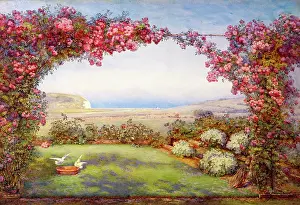 Adie: The Rose Pergola