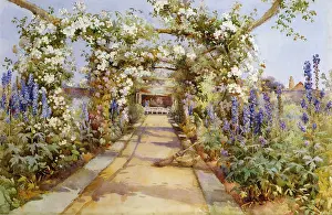 Ella: Rose Pergola with Delphiniums