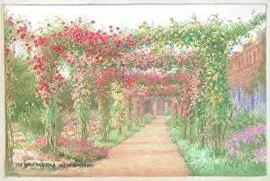 Pergola: The Rose Pergola, Kew Gardens