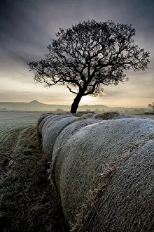 Arable: Roseberry Topping from Morton Carr