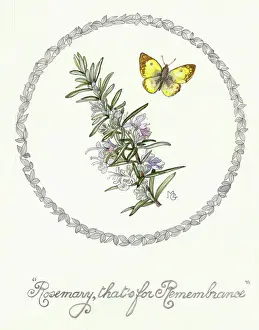 Thats: Rosemary, that's for Remembrance