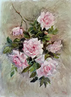Dawe: A Few Roses